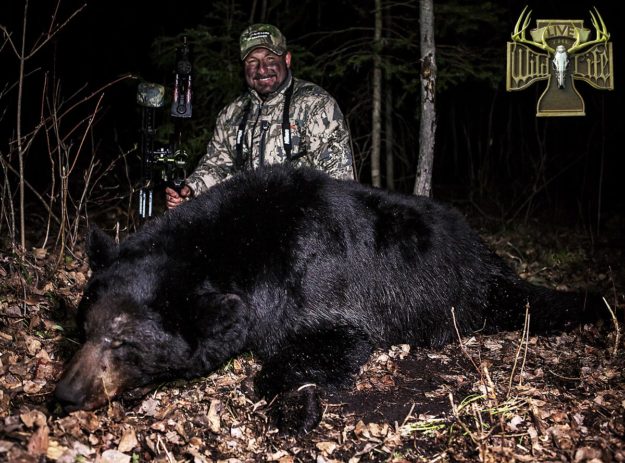 black bear hutning