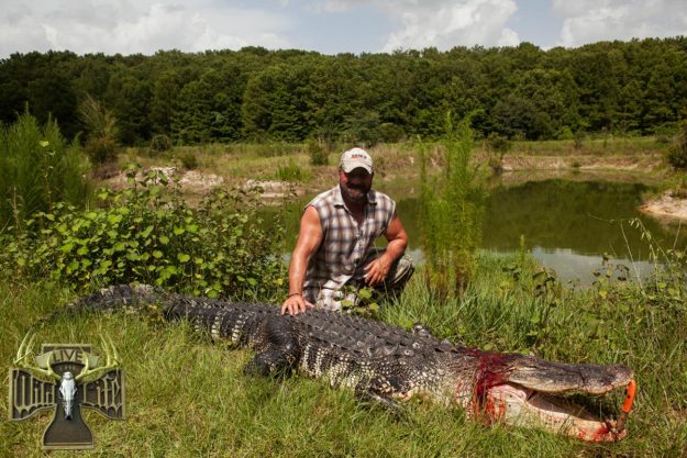 alligator hunting