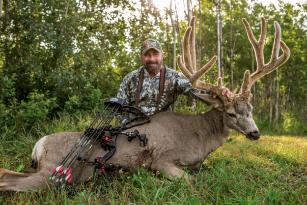 Alberta Mule Deer