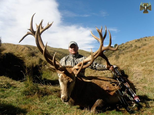new zealand stag