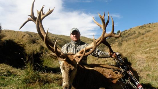 new zealand stag